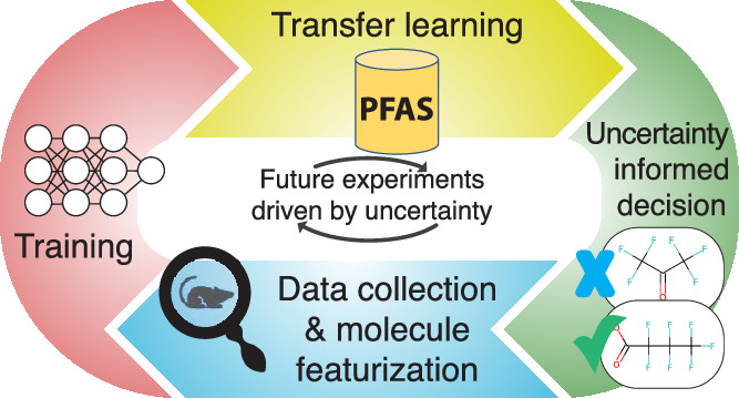 Forever Chemicals: Per- And Polyfluoroalkyl Substances (PFAS